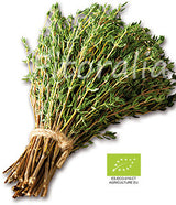 Huerto de Hierbas culinarias