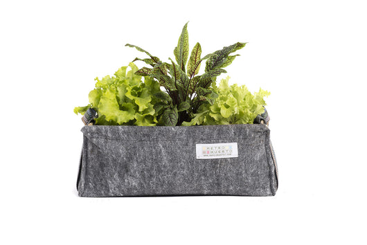 Huerto de Mezcla de Hojas de Ensalada